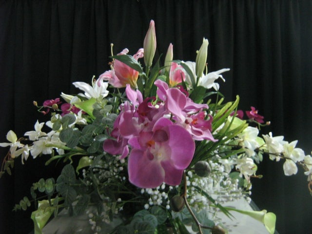 orchids-spray_floral-tribute